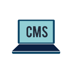 Custom CMS